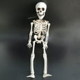 thumbnail image 4 of Halloween Human Skeleton Oversized Poseable Full Life Size Decoration Party Prop, 4 of 5