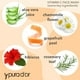 thumbnail image 3 of Jabón facial PURA D'OR, vitamina C, antioxidante, 240 ml, para toda la piel, 3 of 6