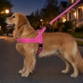 thumbnail image 4 of mdesiwst No-Pull Dog Harness with Handle, Adjustable Reflective Dog Harness, Heavy-Duty Padded Nylon Harness for Medium Large Dogs Walking Training, 4 of 7