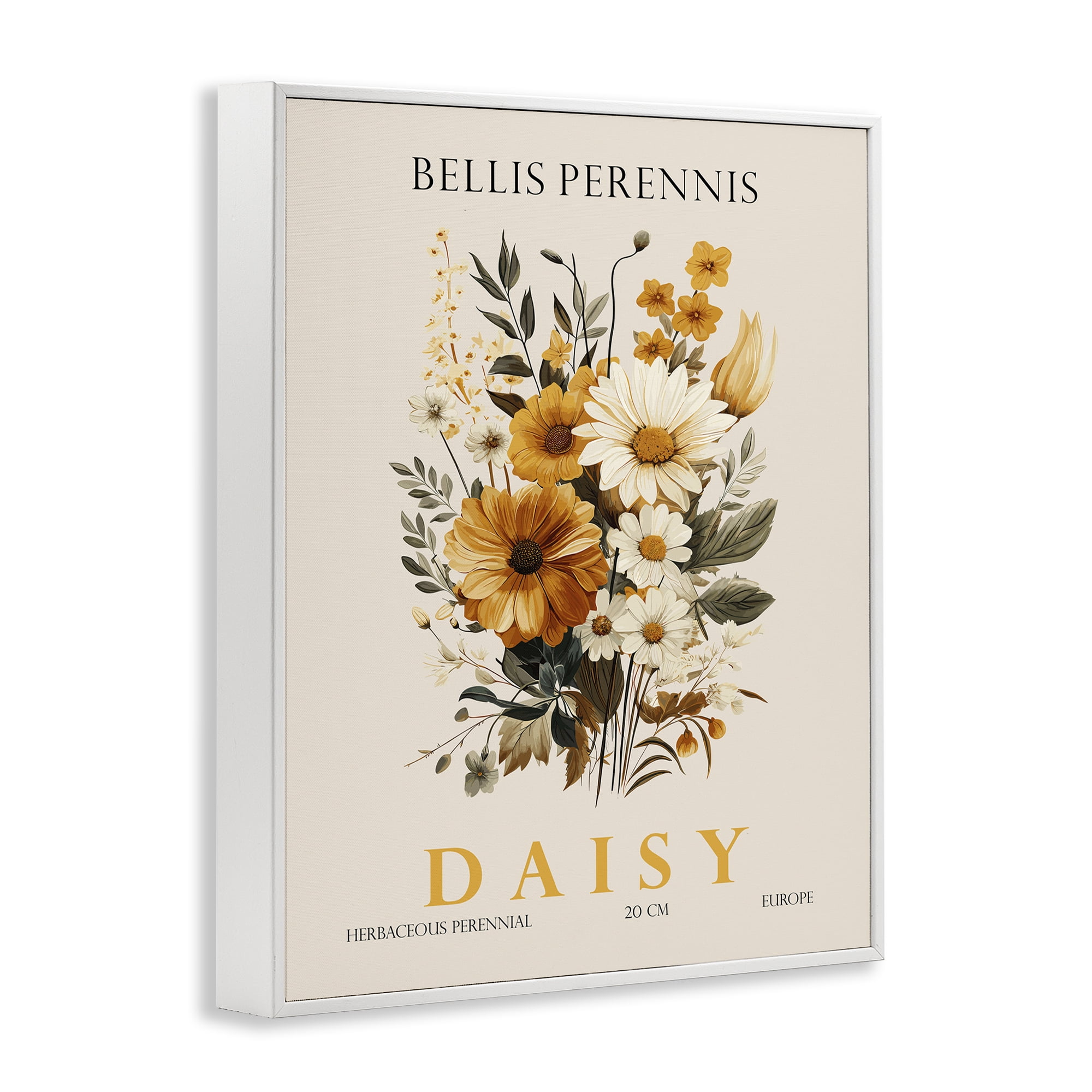 Stupell Industries Nature Daisy Bundle White Framed Giclee Art, design by Christopher Giampietro