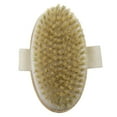 thumbnail image 4 of Cepillo De De Piel Seca Cepillo De Natural Cepillo De, 4 of 9