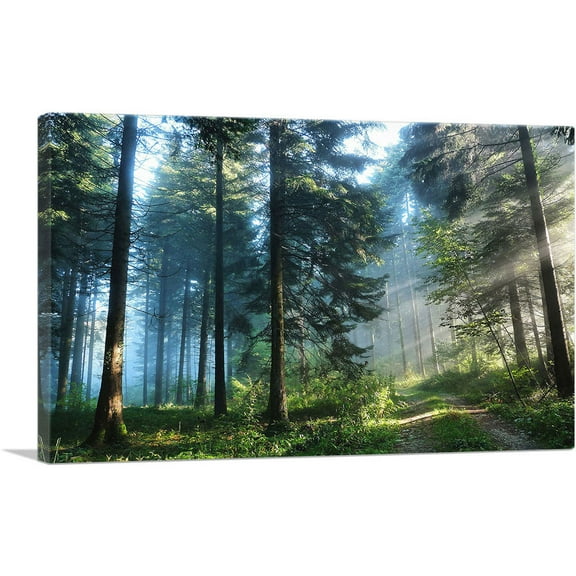 ARTCANVAS Light Through the Forest Trees Canvas Art Print - Size: 26" x 18" (0.75" Deep)