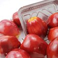 thumbnail image 6 of CoreLiving Artificial Apples - 12-Pack Realistic Fake Red Delicious Apples, Lifelike Fruit Decor for Kitchen Table, Dining Room Centerpiece, Christmas Decorations & Photo Props, 6 of 7