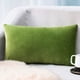 thumbnail image 1 of Funda de almohada de terciopelo - Verde 30x50cm - Funda de cojín de poliéster suave con cierre de cremallera, 1 of 6