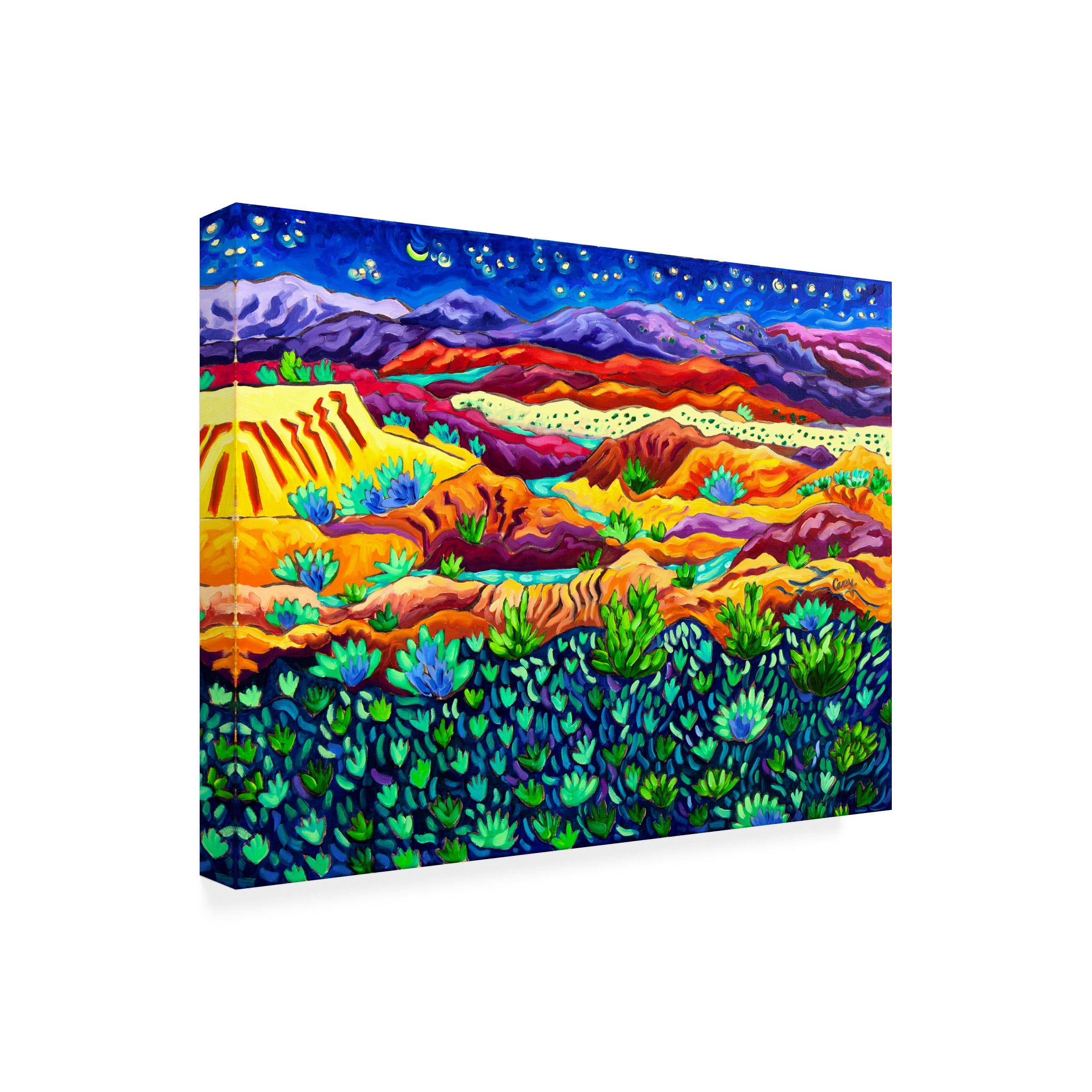 Cathy Carey 'Patterns of Night' Canvas Art