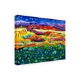 thumbnail image 2 of Cathy Carey 'Patterns of Night' Canvas Art, 2 of 3