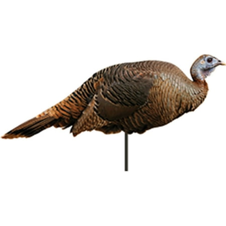 Montana Decoy 0042 Spring Fling Hen Turkey Decoy (Best Turkey Decoys On The Market)