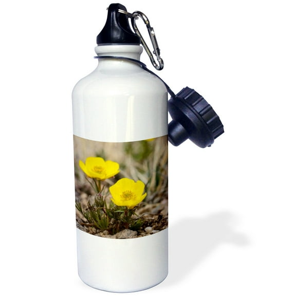3dRose, Snow Buttercup, Yellow Alpline Wildflower - NA01 FZU0000 - Frank Zurey, 21 oz Sports Water Bottle