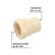 thumbnail image 2 of Conector Adaptador Hembra 3/4" CPVC Rosca Interior Bolsa Con 20 PZS, 2 of 4
