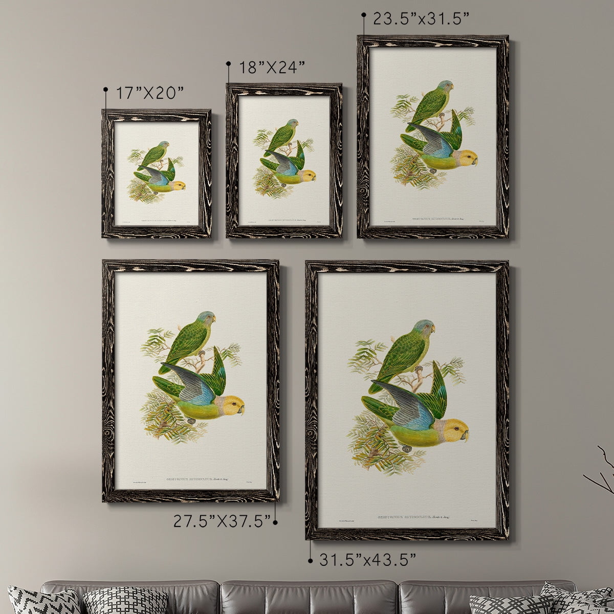 Lime & Cerulean Parrots I - Premium Framed Canvas 2 Piece Set - Ready to Hang