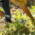 thumbnail image 1 of Wzzjkit Weeding Tool Weeding Tool Weeding Weeding Tool Steel Garden Manual Weeding Tool with Handle Multifunctional Weeding Tool, 1 of 3