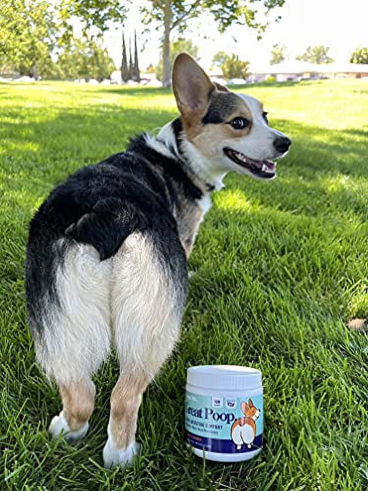 Great Poop Probiotics for Dogs - Fiber for Dogs Supplement with Dog Probiotics and Digestive Enzymes for a Healthy Gut, Firm Stool & Diarrhea Relief - Chicken Flavored Pet Soft Chews with Prebiotics