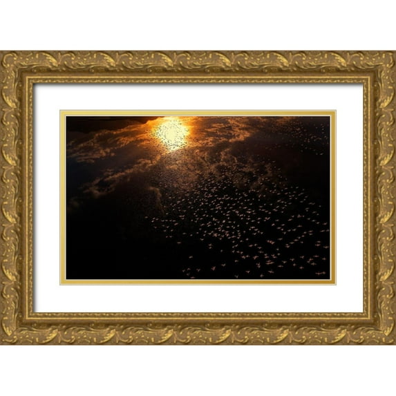 Chang, Phillip 32x21 Gold Ornate Wood Framed with Double Matting Museum Art Print Titled - Late flying