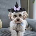 thumbnail image 1 of UPGRATOR Lot de 1 Chapeau Costume de Chat Multicolore pour Fête d'Animaux, 1 of 6