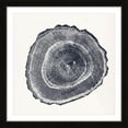 thumbnail image 2 of Marmont Hill Tree Ring III Framed Wall Art, 2 of 6