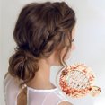 thumbnail image 3 of Unique Bargains 1 Pc Elegant Round Fish Shape Hair Clips Hairdo Clip Light Brown, 3 of 5
