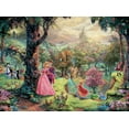 thumbnail image 6 of Ceaco Silver Select Disney Thomas Kinkade Sleeping Beauty 1000-Piece Interlocking Jigsaw Puzzle for Adults Ages 14+, 6 of 6