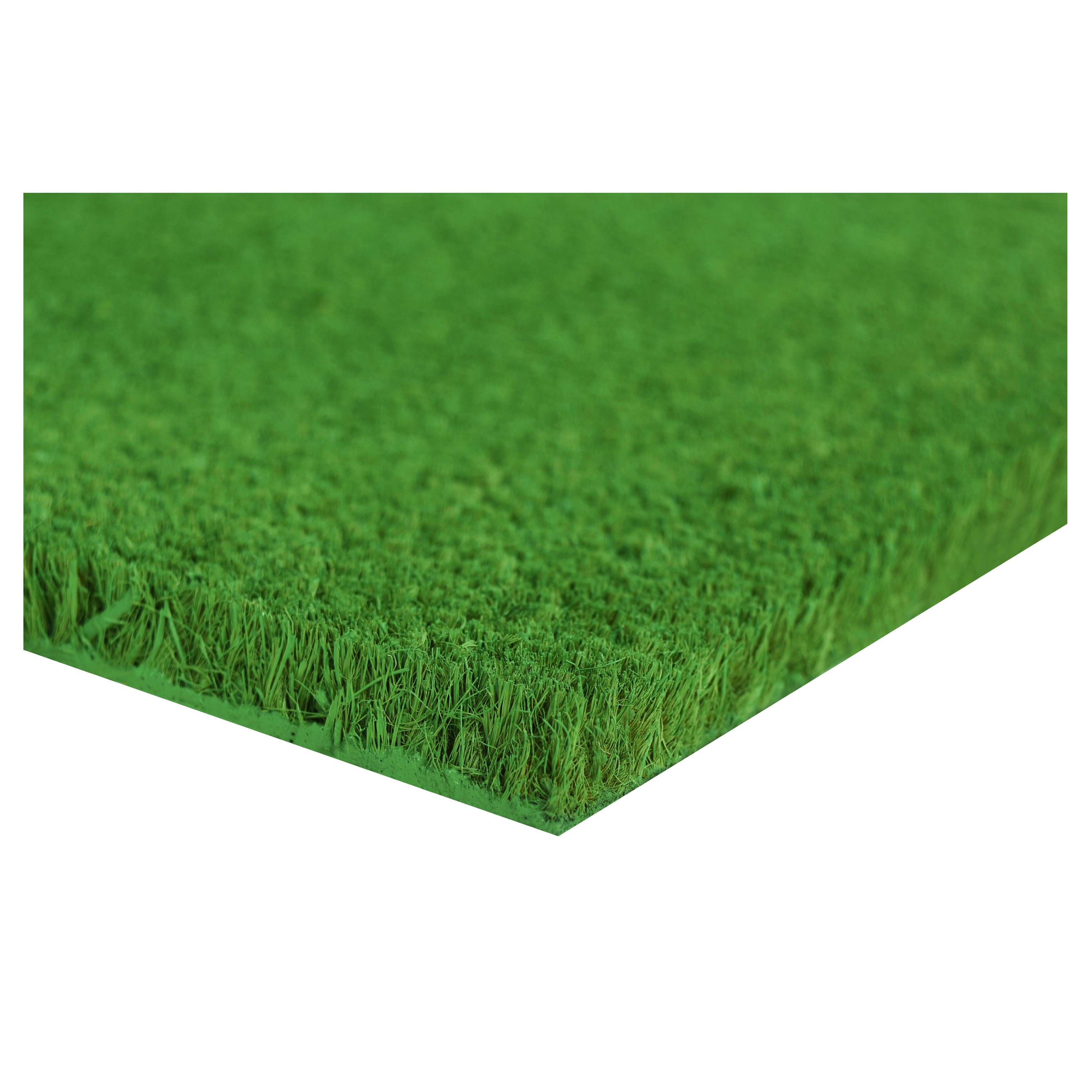 Collins Green Pastel Doormat, 24" x 36"