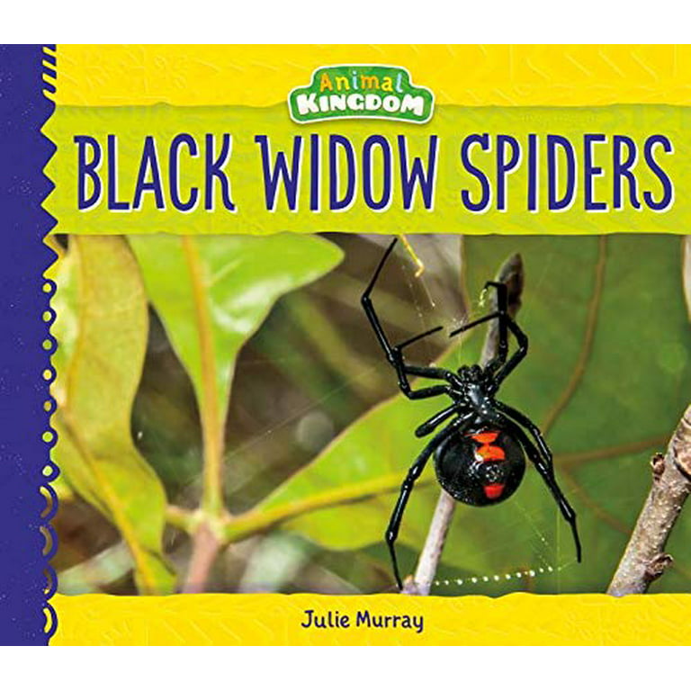 black widow life cycle