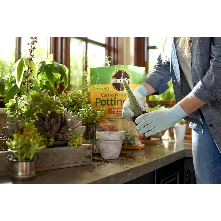 Miracle-Gro Cactus, Palm & Citrus Soil, 8 QT, Container & In-Ground -  Walmart.com