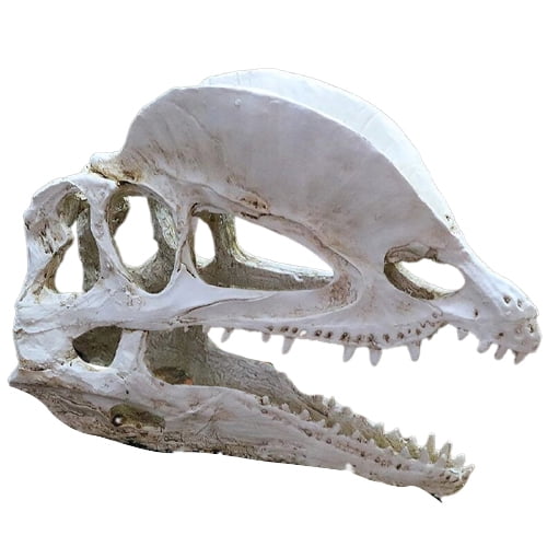 Dragon Head Skeleton Aquarium Home Decor Halloween Props Tools Scary