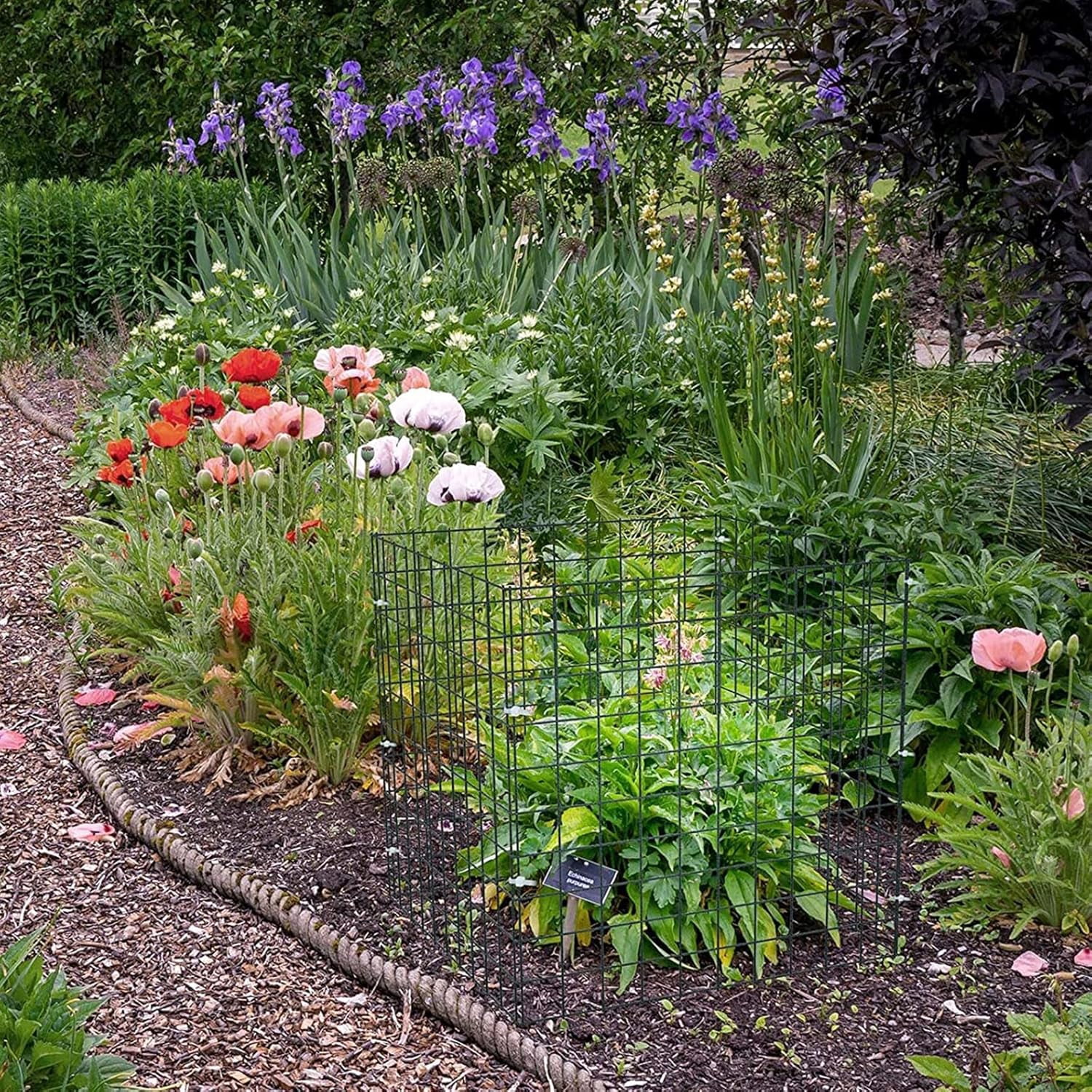 Small Wire Plant Protectors, 10 Pack 12" Square Plant Protectors from Animals Mesh Plant Cage Chicken Wire Cover for Protect Plants, Garden,Shrubs and Vegetables from Animals