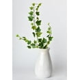 thumbnail image 4 of 25" Faux  Variegated Green Ivy Stem, 4 of 5
