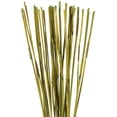 thumbnail image 2 of Vickerman 40" Basil Elephant Reed, 10 oz Bundle, Dried, 2 of 4