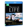 thumbnail image 2 of David Attenborough's The Trials of Life (Blu-ray), Ais, Religion & Spirituality, 2 of 2