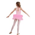 thumbnail image 2 of Haitryli Kids Girls Sparkle Lyrical Ballet Dance Dress Gymnastics Leotard Skirt Dancewear Performance Costume Pink 14, 2 of 5