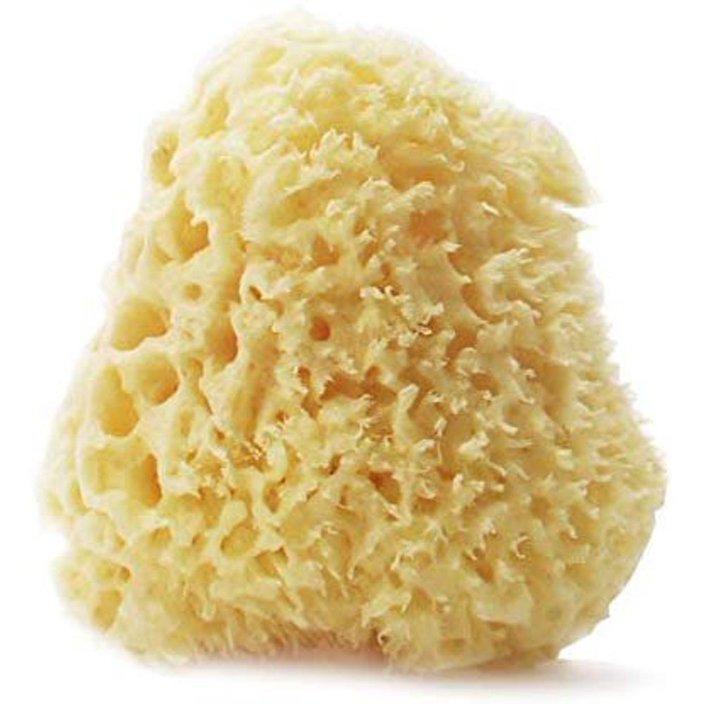 MartiniSPA Italian Made Natural Bath & Spa Sea Sponge Collected from The Mediterranean Sea