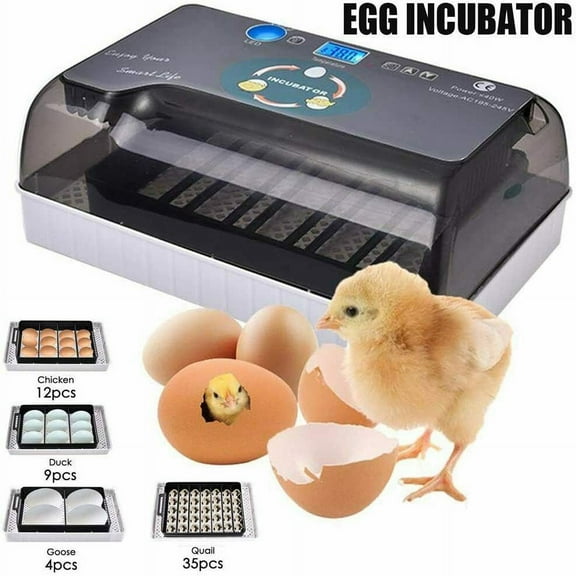 SHANNA Egg Incubator for Hatching Eggs, Digital Mini Incubator with Automatic Turner and Egg Candler Tester for Hatching Chicken Duck Quail Bird Eggs(12 Eggs)