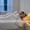 Gray43"×63", variant on 1 PC Cooling Thin Blanket,Specially designed for hot sleepers,Lightweight summer cooling blanket,Breathable throw blanket for adults,Bring soft and cool sleeping experience,Blue,Size:Throw-43"×63"