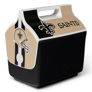 WinCraft New Orleans Saints Fanatics Pack Baby Themed Gift Box - Value