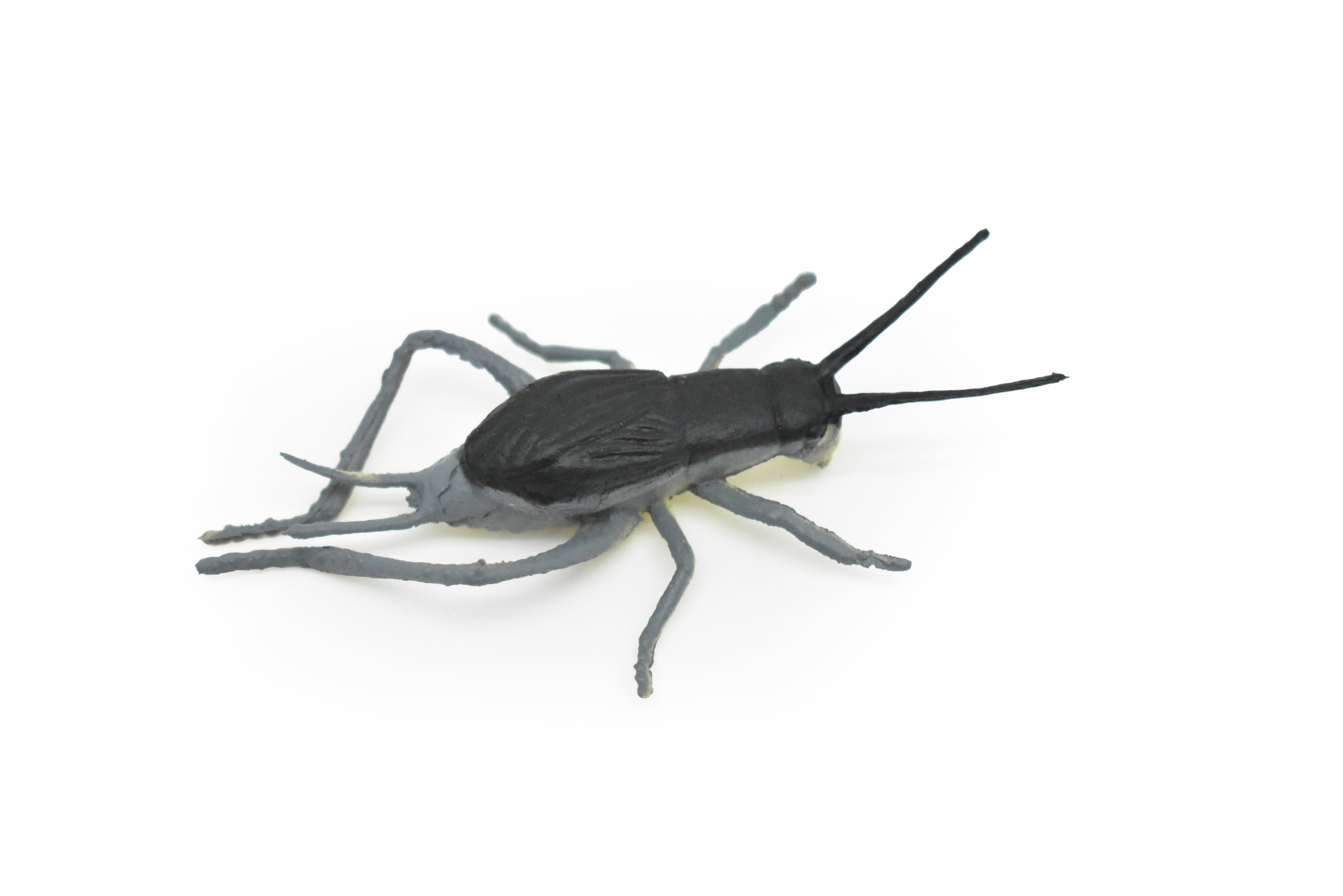 Cricket, Rubber Toy Animal, Realistic Figure, Model, Replica, Kids