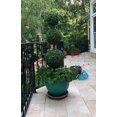 Bornbridge Artificial 4' Topiary Ball Tree Indoor/Outdoor