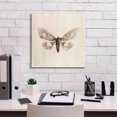 thumbnail image 5 of Epic Graffiti 'Sepia Moth' by Incado, Giclee Canvas Wall Art, 18"x18", 5 of 8