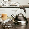 Pykal Red Whistling Tea Kettle with iCool Handle, 2 Premium Infusers