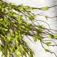 thumbnail image 2 of Sauce de nieve artificialBarba de dragón de seda multibifurcada hojas de primavera y otoño decoración de interiores flores artificiales-verde 112cmtieneveinticuatro hojastela de seda/Alambre recubiert, 2 of 10