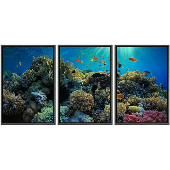 wall26 - 3 Piece Framed Canvas Wall Art - Beautiful View of Sea Life - Modern Home Art Stretched and Framed Ready to Hang - 24"x36"x3 BLACK