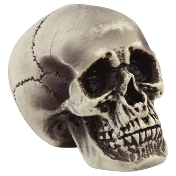 Sunstar Realistic Skull Prop Halloween Decoration - 7 in x 7.5 in x 6 in