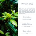 thumbnail image 3 of Ambientador colgante para auto AirDrive White Tea, aceite de 8 ml, 3 of 4