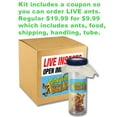 thumbnail image 5 of Nature Bound: Ant Treehouse - Insect Habitat Kit, Tunneling Sand, Connector Tube, Feeding Stick, Critter Observation, Learning Science Toy, Kids 3+, 5 of 9