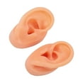 thumbnail image 1 of Ear Model, Long Lasting  Ear Display Model Silicone Waterproof  For Otolaryngology Pharmacy, 1 of 8