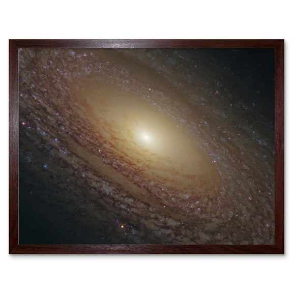 Hubble Space Telescope Image Spiral Galaxy NGC 2841 Blue Pink Emission Nebula Starbirth Region And A Majestic Disk Of Stars And Dust Lanes Art Print Framed Poster Wall Decor 12x16 inch