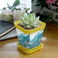thumbnail image 5 of HemaKayy Decorative Planter Pot Set - Perfect for Small Plants - Colorful Design With Drainage Hole - Ideal for Home and Garden Decor - Set of 8 - Unique Marble Texture, 5 of 6