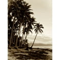 thumbnail image 2 of Nall, Skip 19x24 Gold Ornate Wood Framed with Double Matting Museum Art Print Titled - Island Palms I, 2 of 4