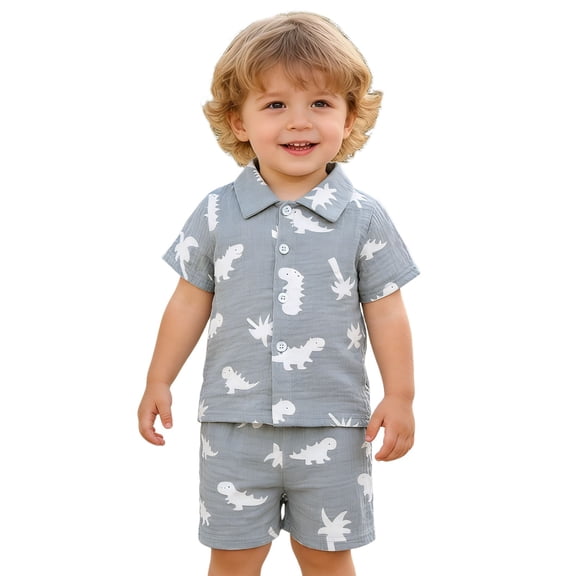 Tiijoy Boys Summer Outfits Dinosaur Print Short Sleeve Linen Shirt Shorts Set, Sizes 6M-4T