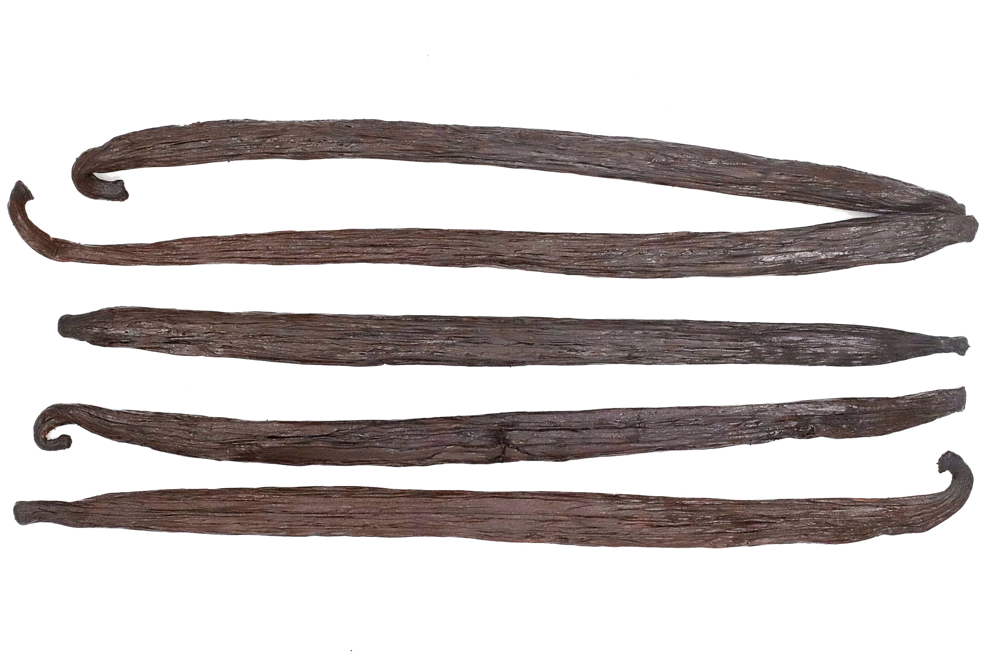 5 Gourmet Grade Mexican Vanilla Beans - Voladores Vanilla