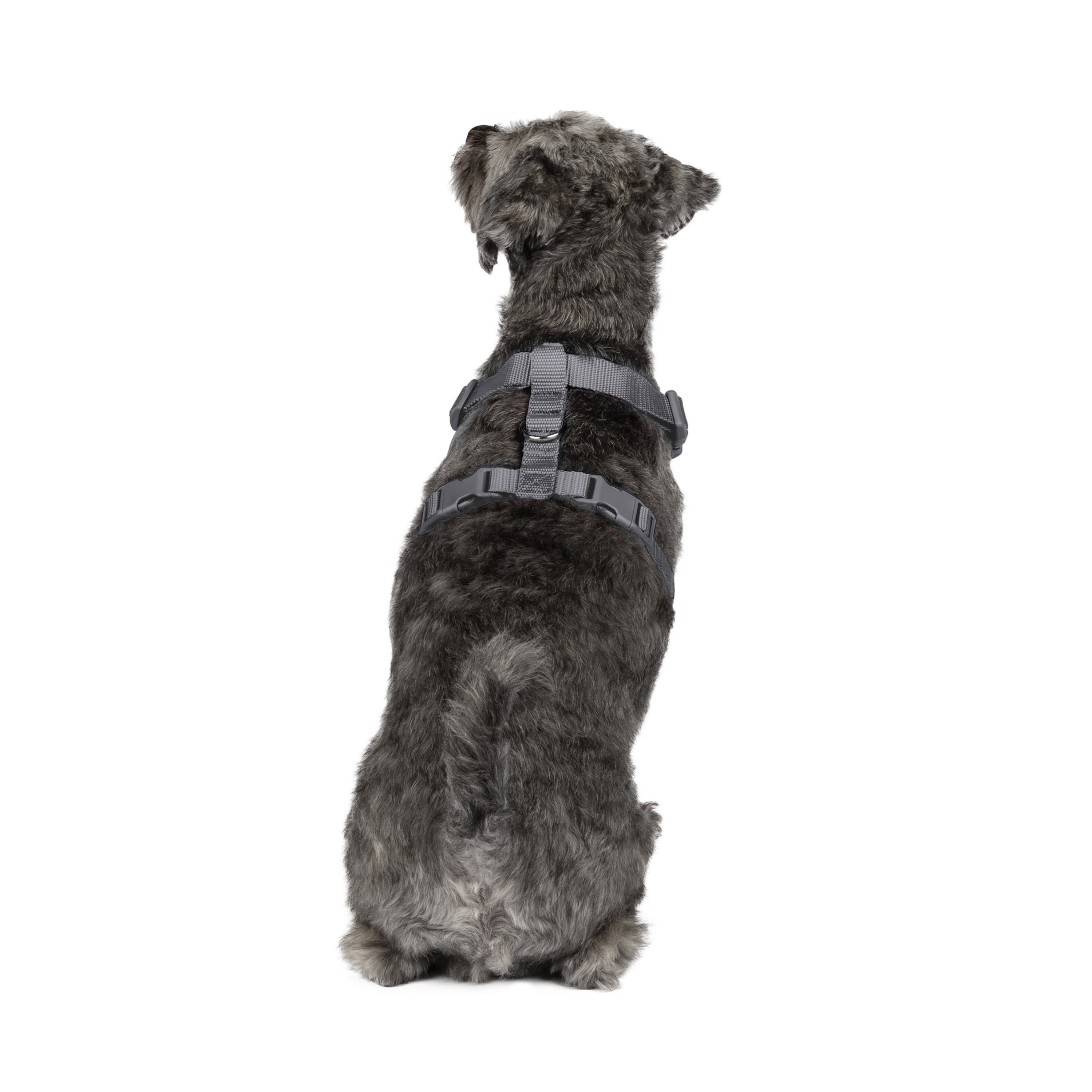 Vibrant Life Polyester Mesh Adjustable and Reflective Dog Walking Harness, Gray, S